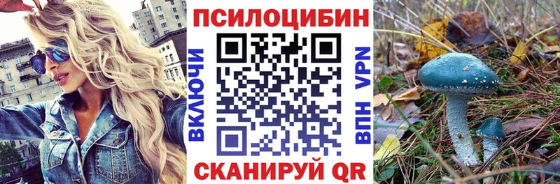 Псилоцибиновые грибы Psilocybine cubensis  продажа наркотиков  omg зеркало  Вятские Поляны 